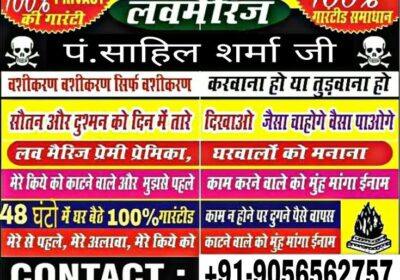 Love Marriage Solution Expert Astrologer Shastri Ji +91-905656275