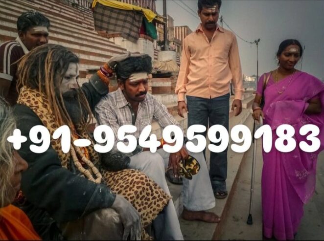 Best Astrologer in India +91-9549599183 All Problem Solutions