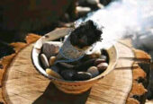 AUTHENTIC LOVE AND VOODOO SPELLS +27799285823