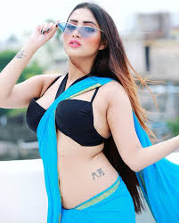 call girls in Noida sector 13 (8901807690) Noida call girls